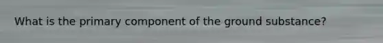 What is the primary component of the ground substance?