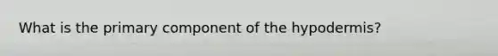 What is the primary component of the hypodermis?