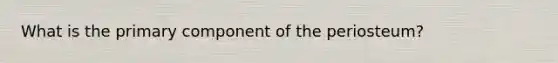 What is the primary component of the periosteum?