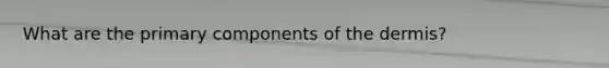 What are the primary components of the dermis?