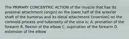 The PRIMARY CONCENTRIC ACTION of the muscle that has its proximal attachment (origin) on the lower half of the anterior shaft of the humerus and its distal attachment (insertion) on the coronoid process and tuberosity of the ulna is: A. pronation of the forearm B. flexion of the elbow C. supination of the forearm D. extension of the elbow