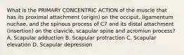 What is the PRIMARY CONCENTRIC ACTION of the muscle that has its proximal attachment (origin) on the occiput, ligamentum nuchae, and the spinous process of C7 and its distal attachment (insertion) on the clavicle, scapular spine and acromiun process? A. Scapular adduction B. Scapular protraction C. Scapular elevation D. Scapular depression