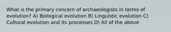 What is the primary concern of archaeologists in terms of evolution? A) Biological evolution B) Linguistic evolution C) Cultural evolution and its processes D) All of the above