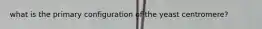 what is the primary configuration of the yeast centromere?