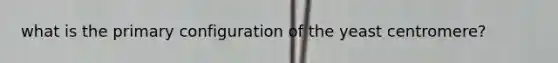 what is the primary configuration of the yeast centromere?