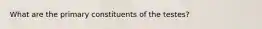 What are the primary constituents of the testes?