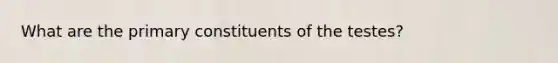 What are the primary constituents of the testes?