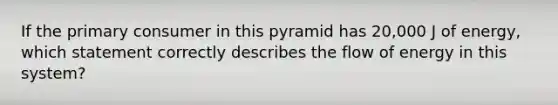 If the primary consumer in this pyramid has 20,000 J of energy, which statement correctly describes the flow of energy in this system?