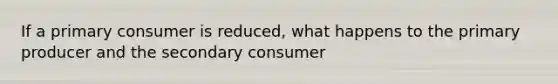 If a primary consumer is reduced, what happens to the primary producer and the secondary consumer