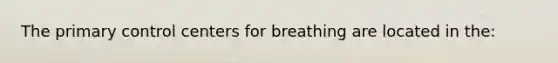 The primary control centers for breathing are located in the: