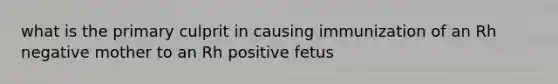 what is the primary culprit in causing immunization of an Rh negative mother to an Rh positive fetus