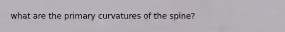 what are the primary curvatures of the spine?