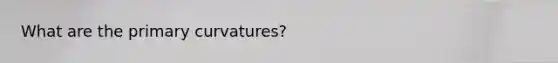 What are the primary curvatures?