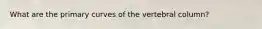 What are the primary curves of the vertebral column?