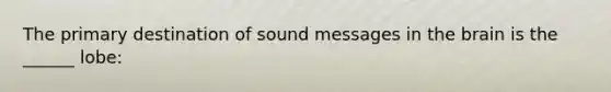 The primary destination of sound messages in the brain is the ______ lobe: