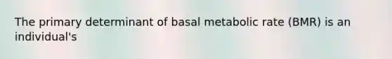 The primary determinant of basal metabolic rate (BMR) is an individual's