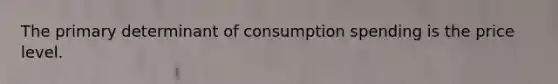 The primary determinant of consumption spending is the price level.