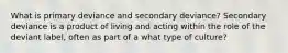 What is primary deviance and secondary deviance? Secondary deviance is a product of living and acting within the role of the deviant label, often as part of a what type of culture?