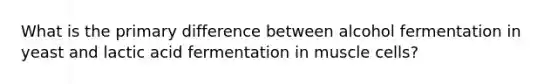 What is the primary difference between alcohol fermentation in yeast and lactic acid fermentation in muscle cells?