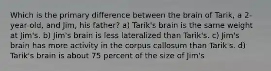 Which is the primary difference between <a href='https://www.questionai.com/knowledge/kLMtJeqKp6-the-brain' class='anchor-knowledge'>the brain</a> of Tarik, a 2-year-old, and Jim, his father? a) Tarik's brain is the same weight at Jim's. b) Jim's brain is less lateralized than Tarik's. c) Jim's brain has more activity in the corpus callosum than Tarik's. d) Tarik's brain is about 75 percent of the size of Jim's