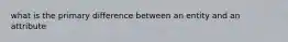 what is the primary difference between an entity and an attribute