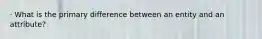 · What is the primary difference between an entity and an attribute?