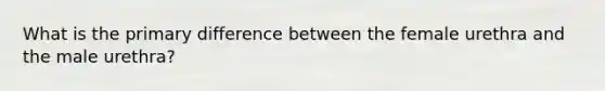 What is the primary difference between the female urethra and the male urethra?