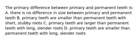 The primary difference between primary and permanent teeth is: A. there is no difference in size between primary and permanent teeth B. primary teeth are smaller than permanent teeth with short, stubby roots C. primary teeth are larger than permanent teeth with long, slender roots D. primary teeth are smaller than permanent teeth with long, slender roots