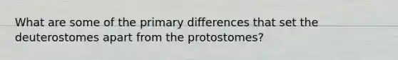 What are some of the primary differences that set the deuterostomes apart from the protostomes?