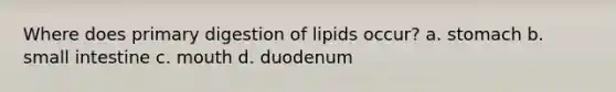 Where does primary digestion of lipids occur? a. stomach b. small intestine c. mouth d. duodenum