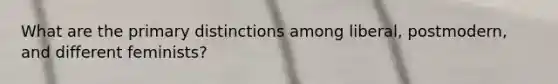 What are the primary distinctions among liberal, postmodern, and different feminists?