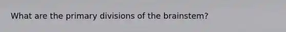 What are the primary divisions of the brainstem?