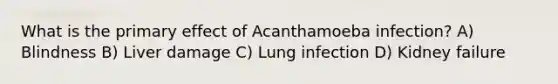 What is the primary effect of Acanthamoeba infection? A) Blindness B) Liver damage C) Lung infection D) Kidney failure