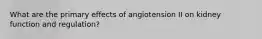 What are the primary effects of angiotension II on kidney function and regulation?