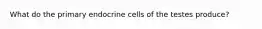 What do the primary endocrine cells of the testes produce?