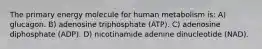 The primary energy molecule for human metabolism is: A) glucagon. B) adenosine triphosphate (ATP). C) adenosine diphosphate (ADP). D) nicotinamide adenine dinucleotide (NAD).