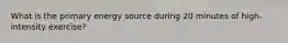 What is the primary energy source during 20 minutes of high-intensity exercise?