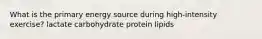 What is the primary energy source during high-intensity exercise? lactate carbohydrate protein lipids