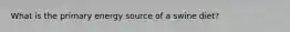 What is the primary energy source of a swine diet?