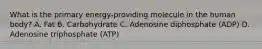 What is the primary energy-providing molecule in the human body? A. Fat B. Carbohydrate C. Adenosine diphosphate (ADP) D. Adenosine triphosphate (ATP)