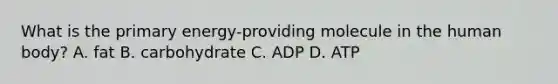 What is the primary energy-providing molecule in the human body? A. fat B. carbohydrate C. ADP D. ATP