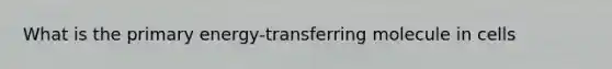 What is the primary energy-transferring molecule in cells