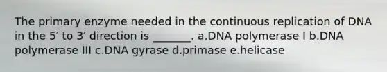 The primary enzyme needed in the continuous replication of DNA in the 5′ to 3′ direction is _______. a.DNA polymerase I b.DNA polymerase III c.DNA gyrase d.primase e.helicase