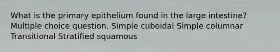 What is the primary epithelium found in the large intestine? Multiple choice question. Simple cuboidal Simple columnar Transitional Stratified squamous