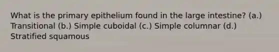 What is the primary epithelium found in the large intestine? (a.) Transitional (b.) Simple cuboidal (c.) Simple columnar (d.) Stratified squamous