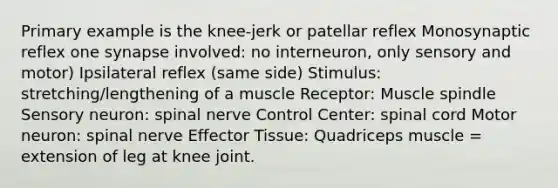 Primary example is the knee-jerk or patellar reflex Monosynaptic reflex one synapse involved: no interneuron, only sensory and motor) Ipsilateral reflex (same side) Stimulus: stretching/lengthening of a muscle Receptor: Muscle spindle Sensory neuron: spinal nerve Control Center: spinal cord Motor neuron: spinal nerve Effector Tissue: Quadriceps muscle = extension of leg at knee joint.