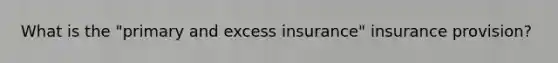 What is the "primary and excess insurance" insurance provision?