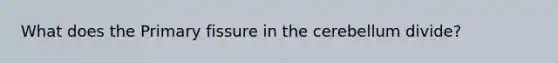 What does the Primary fissure in the cerebellum divide?