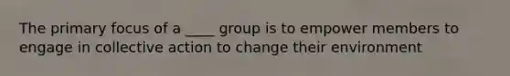 The primary focus of a ____ group is to empower members to engage in collective action to change their environment