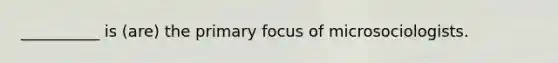 __________ is (are) the primary focus of microsociologists.